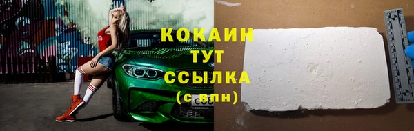 ПСИЛОЦИБИНОВЫЕ ГРИБЫ Рославль