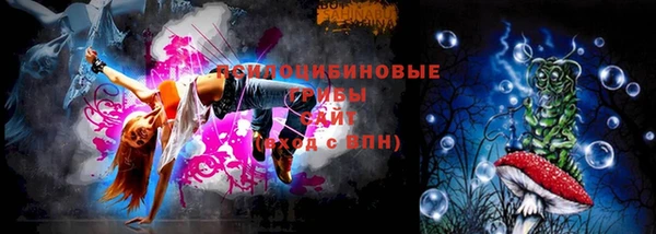 тгк Абинск