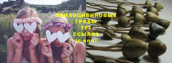 тгк Абинск